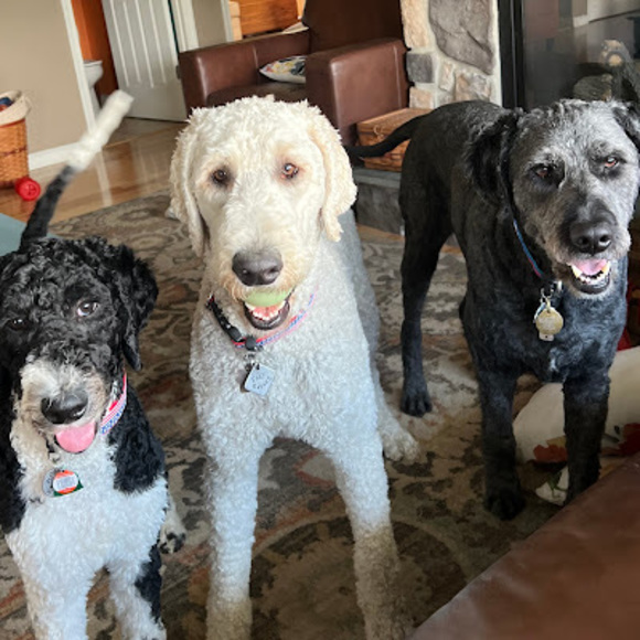 Meet your Posher, Lynn - Picture 1 of 1